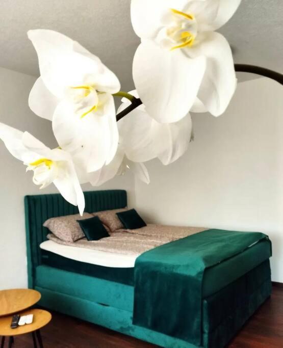 Zeid City Center Apartment Сараево Экстерьер фото